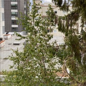 Meet your Posher, Devon